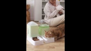 P&C Large Volume Auto Water Feeder Drinker Pet Bowl Auto Water Dispenser Bekas Air Kuching Auto 猫狗自动饮水机