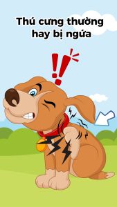 Sữa tắm Chó Mèo FAY ASC - All Skin Care - Ngứa Ghẻ Xà Mâu Viêm Da Nhiễm Khuẩn - 290ml