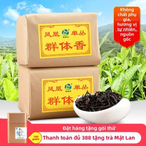 JianYunGe | Trà Mùa Xuân Dancong Phượng Hoàng Truyền Thống Chaozhou Hương Mạnh 500g