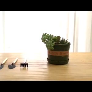 Set of 3 Mini Gardening Tools Alat Berkebun Succulent Cactus