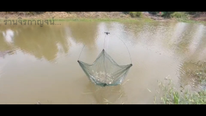 ยอยกกุ้ง  ยอยกปลา  มุ้งยกกุ้ง ตาข่ายดักกุ้ง สวิงตักปลา 80 x 80  เซน