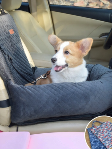 New Pet | Washable Outdoor Safety Pet Car Seat Small Pets