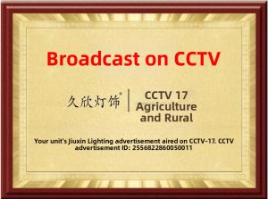 jiuxin lighting | Wedding Long Lasting Bedside Lamp Pair Red