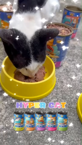 อาหารแมวกระป๋อง HYPER CAT โปรตีน9% ไขมันต่ำ ผลิตในไทย มีเลขอาหารสัตว์