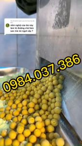 Máy vo viên tinh bột nghệ tam thất mật ong Máy vo viên tinh bột nghệ tam thất mật ong