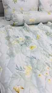 💥FLASH SALE💥 Trọn Bộ 5 Món Chăn Ga Gối Lyocel Than Hoạt Tính Thoáng Mát Mềm Mịn _ Nemtot Bedding