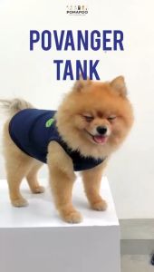 Povanger Tank - Baju Kucing dan Baju Anjing POMAPOO Premium Berkualitas