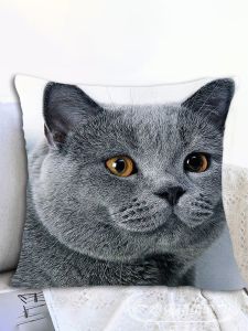 Gối Thêu Hình Mèo Xanh Dễ Thương Thêu Sợi Thủ Công Chữa Lành Phòng Ngủ Ghế Sofa Đệm Bọc Thêu Mèo Chữa Lành