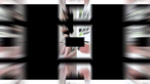 Three-Quarter Shark Pants with White Edges Sports Yoga Slimming High-Waisted Plus Size Shorts for Women Slim Fit Leggings Teen Pants