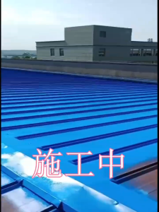 Anti-Rust Paint - Metal Color Steel Tile Renovation Waterproof Roof Paint
