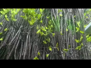 90cm Flexible Artificial Rattan Dry Twig Branch Vine Fake Plant