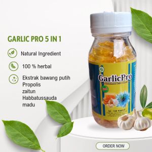 Garlic Pro 5 in 1 Extrac Bawang Putih  Habbatussauda oil Minyak Zaitun Madu Plus Propolis 100 kapsul-Garlic Minyak Bawang putih suplemen Kesehatan