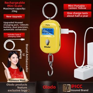 Portable High Precision Mini Hanging Scale Rechargeable