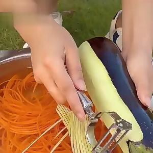 2 IN 1Kitchen Stainless Steel Double Head Peeler Apple Peeler Potato Peeler Kitchen Vegetable And Fruit Scraper削皮器 切丝器