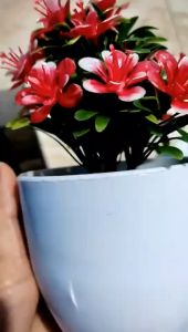 QSPT59 Pot Tanaman Hias Bunga Melati Plastik Ornamen Pot Bonsai Artificial Flower Decoration