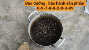 máy ép cám viên ép lúa ngô ốc cá