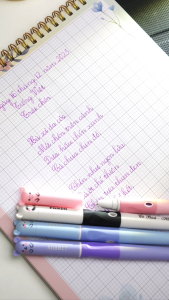 Bút mực xóa được Hồn Chữ Việt B02 ngòi êm trơn nét tròn đều bút luyện chữ đẹp bút máy bút viết chữ đẹp