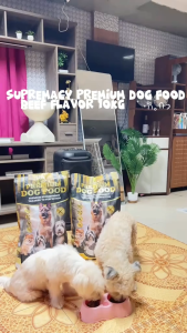 Supremacy Premium Dog Food Beef Flavor 1.5 kg | Complete and Balanced Nutrition Suitable for 3 Months old and Above