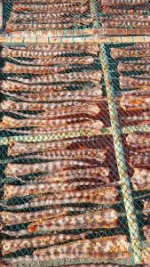 1kg Khô Cá Chình Bông Biển Nhiều Dinh Dưỡng Cao Thịt Cá Ngon Ngọt- VỰA KHÔ NÀNG TIÊN