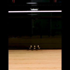 (ส่งทุกวัน) เก้าอี้เปียโน เก้าอี้เปียโนปรับระดับได้ เบาะหนัง เก้าอี้คีบอร์ด เก้าอี้เปียโนคีย์บอร์ดปรับระดับได้ เก้าอี