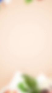 Margaux Louisse Finds - Magnetic Screen Door Curtain Anti-Mosquito Net Easy Installation