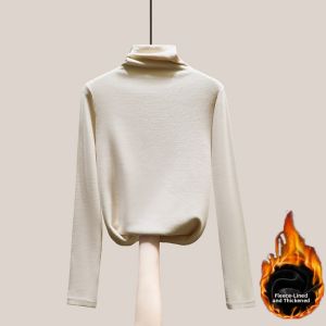 Fashion Temperament Slim Fit Turtleneck Duvlon Double-Sided Blouse