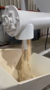 Regal Whiskers Makanan Kucing 10KG Protein 32% Harga Terus Ke Kilang Tuna & Chicken Premium Cat Food