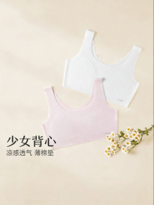 ManiForm | Development Stage Soft Support Bralet