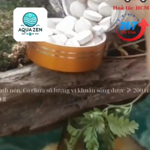 Men Vi Sinh EM Dạng Bột 80g Hỗ Trợ Tiêu Hóa Bổ Sung Vi Sinh Xử Lí Nước Cho Cá