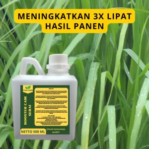 Pupuk Pelebat Serai: Memahami & Menggunakan Pupuk Serai Berkualitas