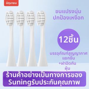หัวแปรงสีฟันไฟฟ้า Amoi N12 ขนนุ่ม ดูแลเหงือก หัวเปลี่ยน หัวแปรงสีฟัน อุปกรณ์เสริมสำหรับผู้ใหญ่ ดูแลสุขอนามัยช่องปาก