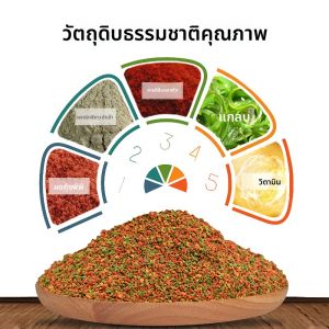 อาหารปลาขนาดเล็กโปรตีนสูงสำหรับลูกปลาทั่วไป อาหารปลาเป็ดลายม้า อาหารปลาต่อสู้รูปหางผีเสื้อ น้ำหนักเบา ระบายออกได้ดี ผลิตจากจีน