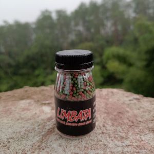 Pelet Limbata Super Color RKFish Aquatic Pakan Channa Limbata