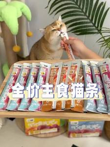 7o | Kitten Suitable Fall Prevention Cat Treats