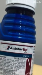 Paket Pengendali Hama Tanaman - Score 250ml & Amistartop 250ml Hijau Solusi Anti Penyakit