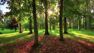 Hengyuanxiang Bedding Latex Mattress 1.8 M Bed Cushion Antibacterial Mattress Double Foldable  180*200cm