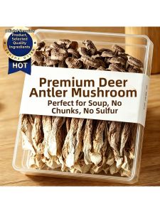 Premium Yunnan Antler Mushroom Dried No Sulfur No Sand No Additives