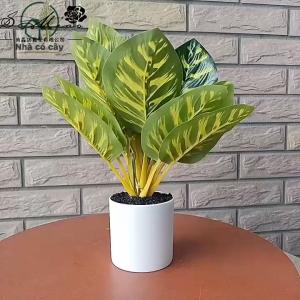 Chậu Cây Giả Để Bàn Cây Cảnh Decor Cây Decor Trang Trí Nhà Cửa Chậu Cây Giả Mini