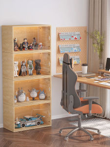 Multipurpose Clear Acrylic Storage Cabinet