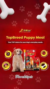 Top Breed Puppy (10 Kilos) | Repacked by FurrWhitePetsShop