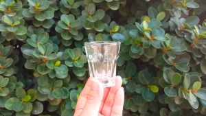LuckyGlass Euro Shot Glasses 12pcs/set