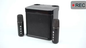 ลำโพงบลูทูธ YS-203: รับประกัน เบสหนักๆ เสียง HIFI ฟังก์ชั่นการ์ดเสียง 2 ตัว 3 ตัว ไมโครโฟน ไมค์ 2 ตัว ไมค์ร้อง ตัดเสียง นักร้อง