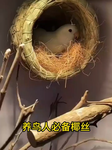 บ้านนกแบบกะลามะพร้าว บ้านกะลาสัตว์เลี้ยง บ้านกะลามะพร้าวทำรัง กระรอก ชูการ์ นก กะลานก บ้านนกใยมะพร้าวธรรมชาติ ที่นอนสัตว์ บ้านกะลาแบบขัดเรียบ ทั้งลูก วัสดุธรรมชาติ