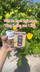 Viên Thảo Dược Kian Pee Wan Hộp 30v Malaysia – Hỗ Trợ Ăn Ngon Dễ Dùng Tiện Lợi Mỗi Ngày