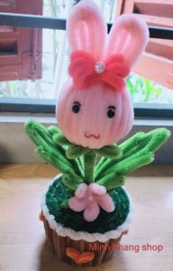 Hoa kẽm nhung thỏ chậu hoa để bàn chậu hoa mini