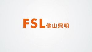 FSL T8 LED TUBE (double-ended connection) 9W / 18W / 22W / 26W / 30W (2ft 4ft)