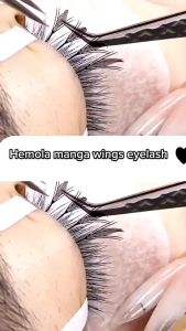 HEMOLA ANIME MANGA WINGS EYELASH EXTENSION LEAF WISPY  RUSSIAN VOLUME EYELASH EXTENSION BULUMATA ANIME
