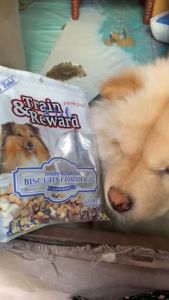 All Stages Adult Puppy 350g Train and Reward Rewards Dog Biscuit Dog Treat Dog Food