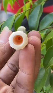 pipa gading asli panjang 14cm model segilapan lengkung lokal mulus asli