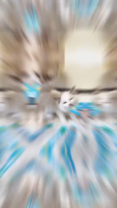 COMBO SLL - Súp Thưởng MRVET Dùng Cho Mọi Lứa Tuổi Thức Ăn Dinh Dưỡng Cho Mèo - T3 PETS SHOP